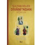 Sultan Veled Divanı'ndan Seçmeler	Şadi Aydın-Elvir Musiç